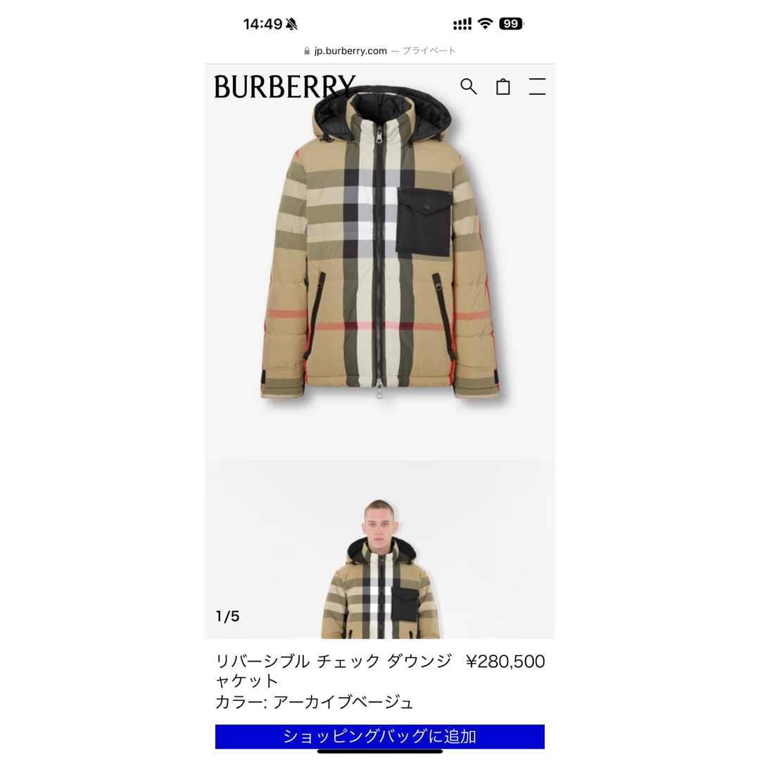 BURBERRY(バーバリー)のBurberry バーバリー　現行モデル　ダウンジャケット　Lサイズ メンズのジャケット/アウター(ダウンジャケット)の商品写真