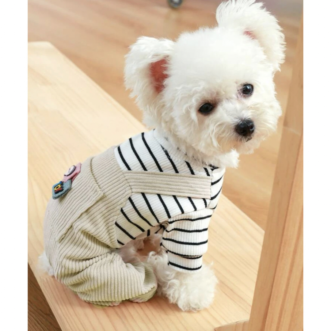 ペット　犬　服　ロンパース　M 新品未使用　ペット服 ハンドメイドのペット(ペット服/アクセサリー)の商品写真