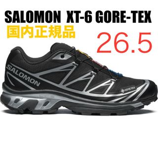 スニーカー26.5cm サロモン 22AW XT-6 GTX 定価29700円 新品