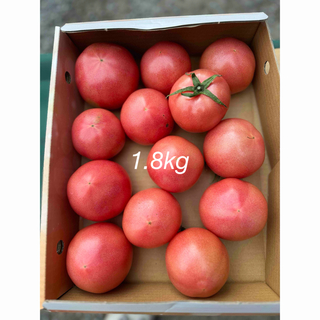 規格外トマト　1.8kg(野菜)