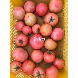 規格外トマト　８kg(野菜)