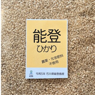 玄米１０kg 無農薬・無化学肥料　能登ひかり(米/穀物)