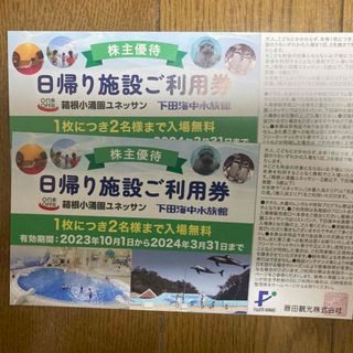 藤田観光株主優待 日帰り施設ご利用券2枚　箱根小涌園ユネッサン(その他)