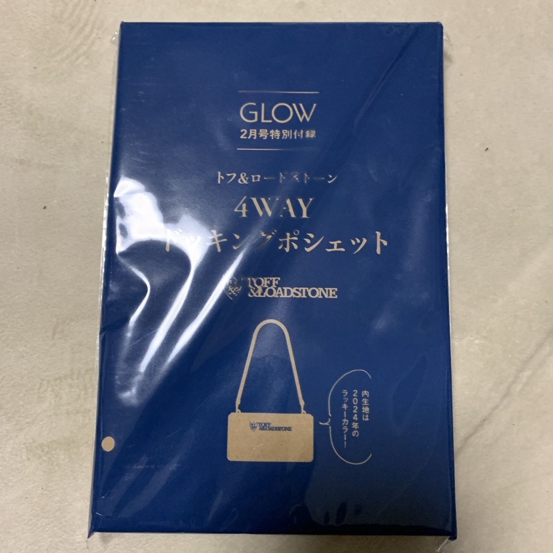 GLOW 2月号 付録 レディースのバッグ(その他)の商品写真