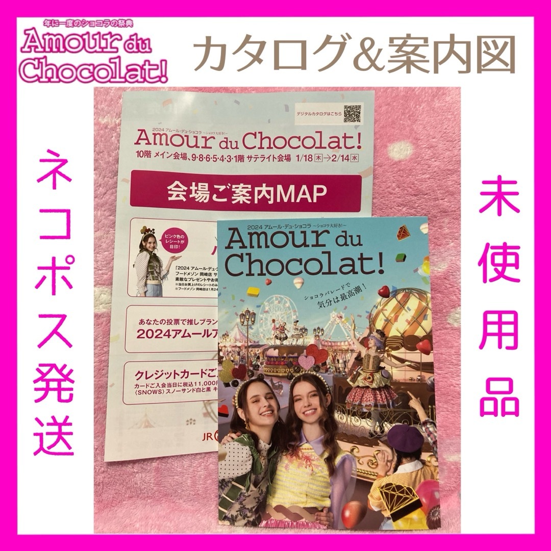 名古屋高島屋 アムールデュショコラ 2024  チョコレート カタログ エンタメ/ホビーの本(その他)の商品写真