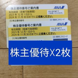 エーエヌエー(ゼンニッポンクウユ)(ANA(全日本空輸))のANA 株主優待券 2枚 有効期限 2024年11月30日(その他)