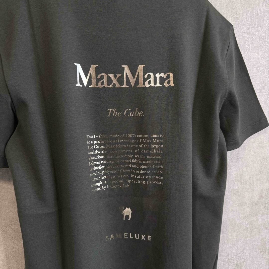 'S Max Mara(エスマックスマーラ)の【24SS・正規品★】S Max Mara QUIETO ロゴ付き Tシャツ レディースのトップス(Tシャツ(半袖/袖なし))の商品写真