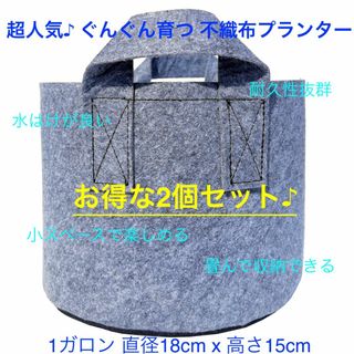 不織布プランター 1ガロン 植木鉢 6号 栽培袋 フェルト グレー x 2個(プランター)