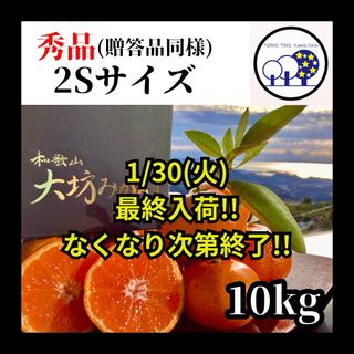 ④和歌山県宮川早生温州みかん「樹熟大坊みかん」秀品10Kg 甘い 蜜柑(フルーツ)