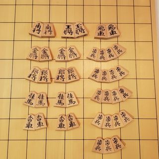 玉山作・中彫・黄楊将棋駒・本砥ぎ仕上カスタマイズ作品・桐製角箱入 ...