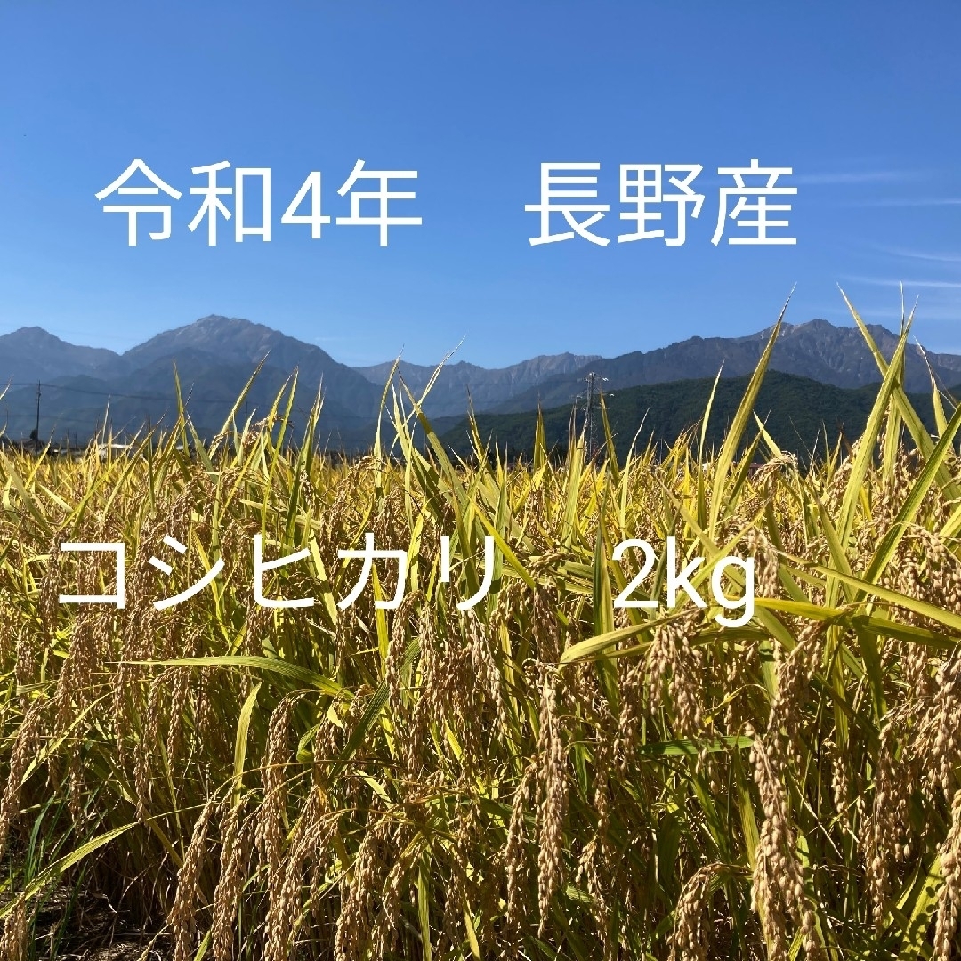 令和4年長野産コシヒカリ　ゆうパケットポスト箱込みで2kg 食品/飲料/酒の食品(米/穀物)の商品写真