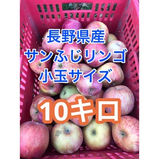 長野県産「サンふじ」リンゴ　小玉サイズ　10キロ(フルーツ)