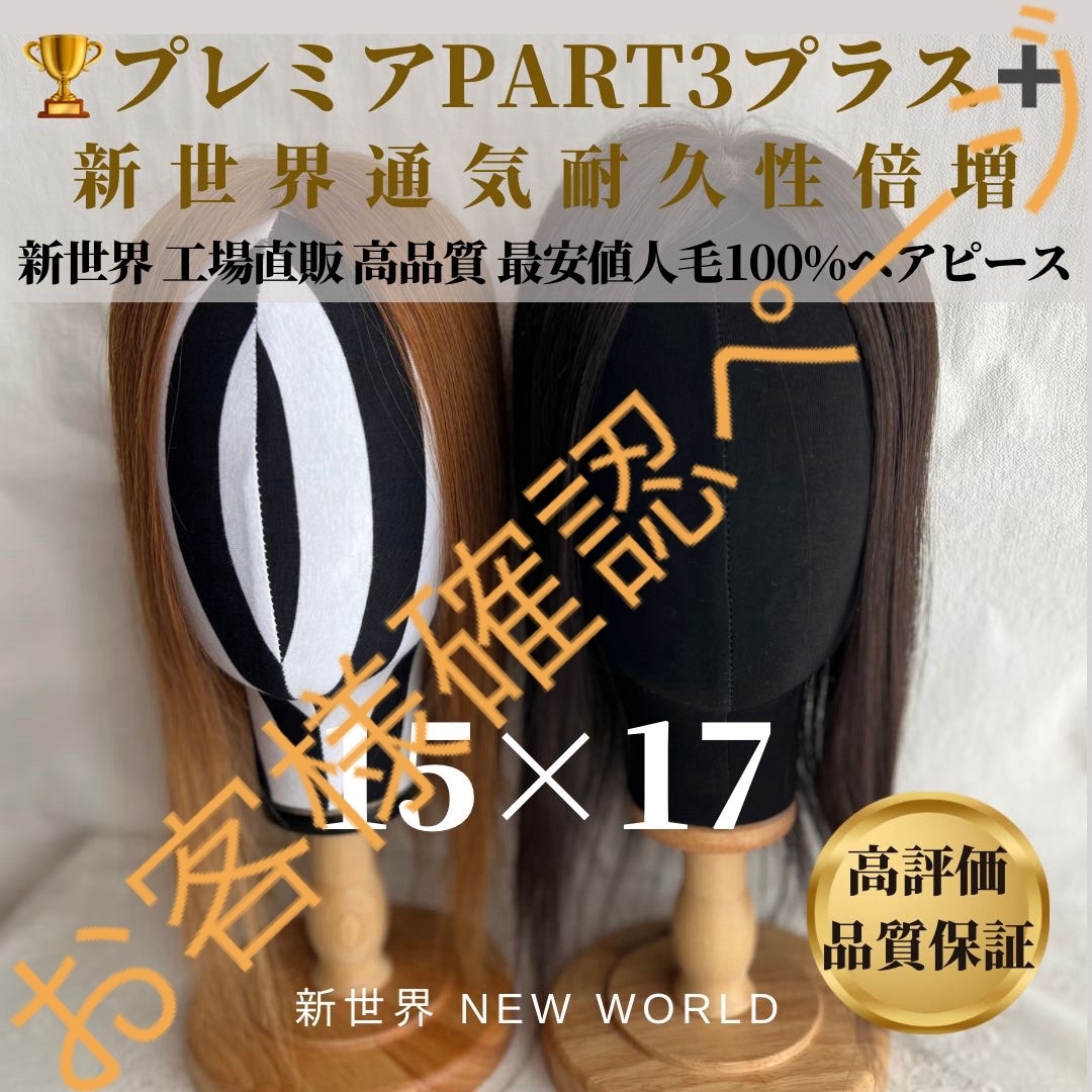 2024新世界 レミー100% ヘアピース シルクスキン 部分ウィッグ A 2024新世界 レミー100% ヘアピース シルクスキン 部分ウィッグ A