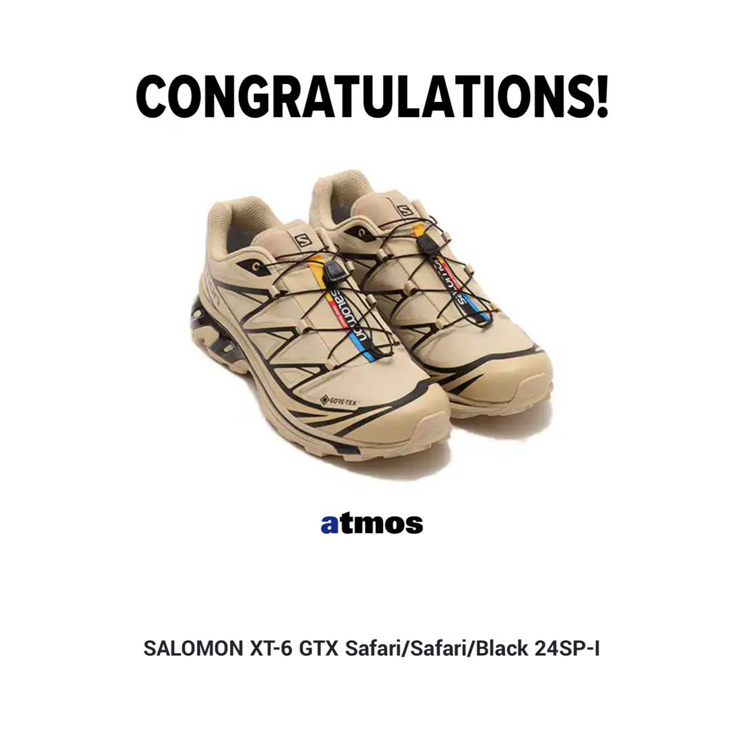 メンズSalomon XT-6 GORE-TEX Safari/Black 30cm