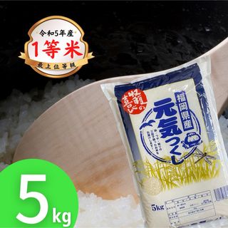 令和5年度  山口県産  コシヒカリ  新米  15㎏食品/飲料/酒