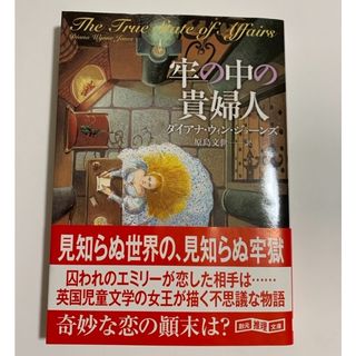 牢の中の貴婦人(文学/小説)