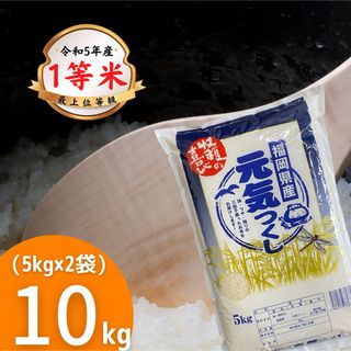元気つくし10kg《令和5年産》1等米 厳選米 福岡県産 お米 安い 美味しい(米/穀物)