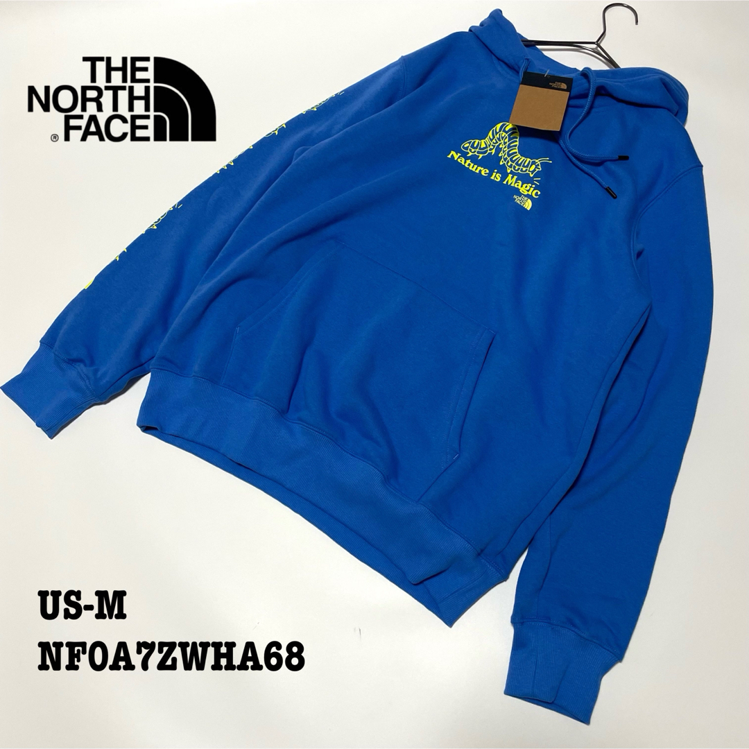 THE NORTH FACE(ザノースフェイス)の【新品】US-M ノースフェイス パーカー スウェット 袖プリント ブルー 海外 メンズのトップス(パーカー)の商品写真