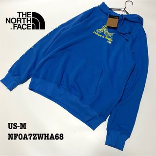 ザノースフェイス(THE NORTH FACE)の【新品】US-M ノースフェイス パーカー スウェット 袖プリント ブルー 海外(パーカー)