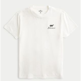 ホリスター(Hollister)のリラックス FORD BRONCO グラフィックTシャツ XXL(Tシャツ/カットソー(半袖/袖なし))