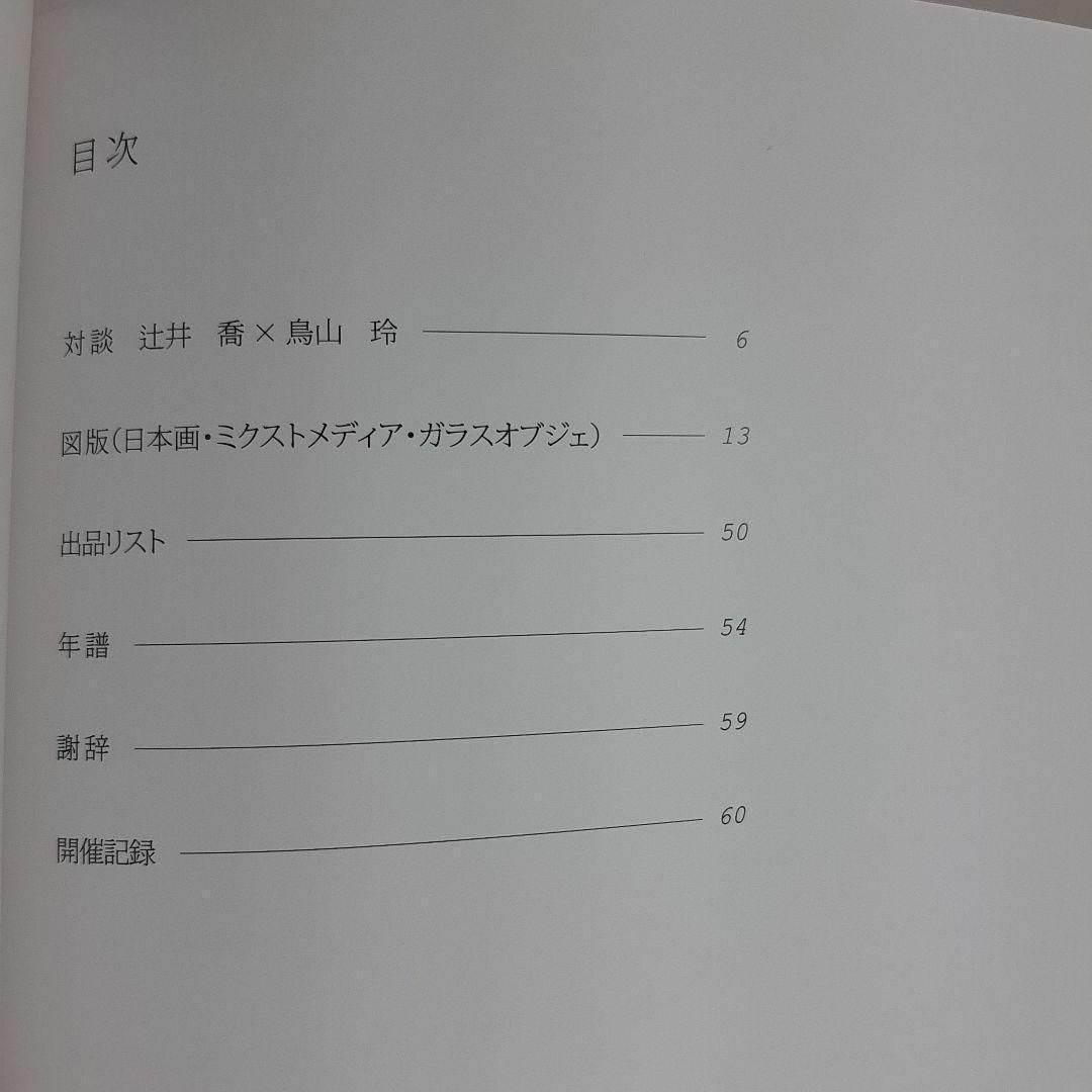 図録 鳥山玲自選展 うつしみ O美術館 展示会パンフレット エンタメ/ホビーの本(アート/エンタメ)の商品写真