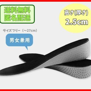 シークレットインソール 2.5cm 中敷き 衝撃吸収 低反発 上げ底 厚底y0n(その他)