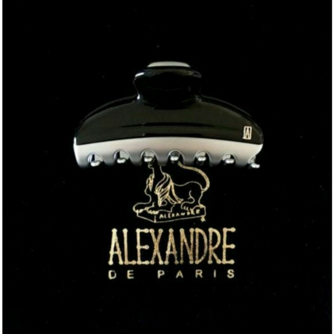 Alexandre de Paris(アレクサンドルドゥパリ)の新品☆アレクサンドル ドゥ パリ VENDOME CLIP (M) レディースのヘアアクセサリー(バレッタ/ヘアクリップ)の商品写真