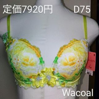 Wacoal - 未使用 スタジオファイブ ブラジャー C80の通販 by