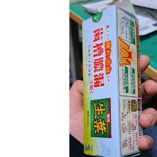 薬用ハミガキ　生葉　未開封未使用品　100g(歯磨き粉)