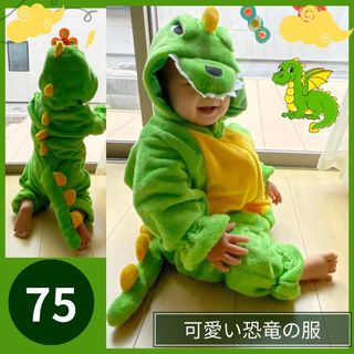 ★セール★ 龍 恐竜 衣装 コスプレ こども 幼児 キッズ 75サイズ(その他)