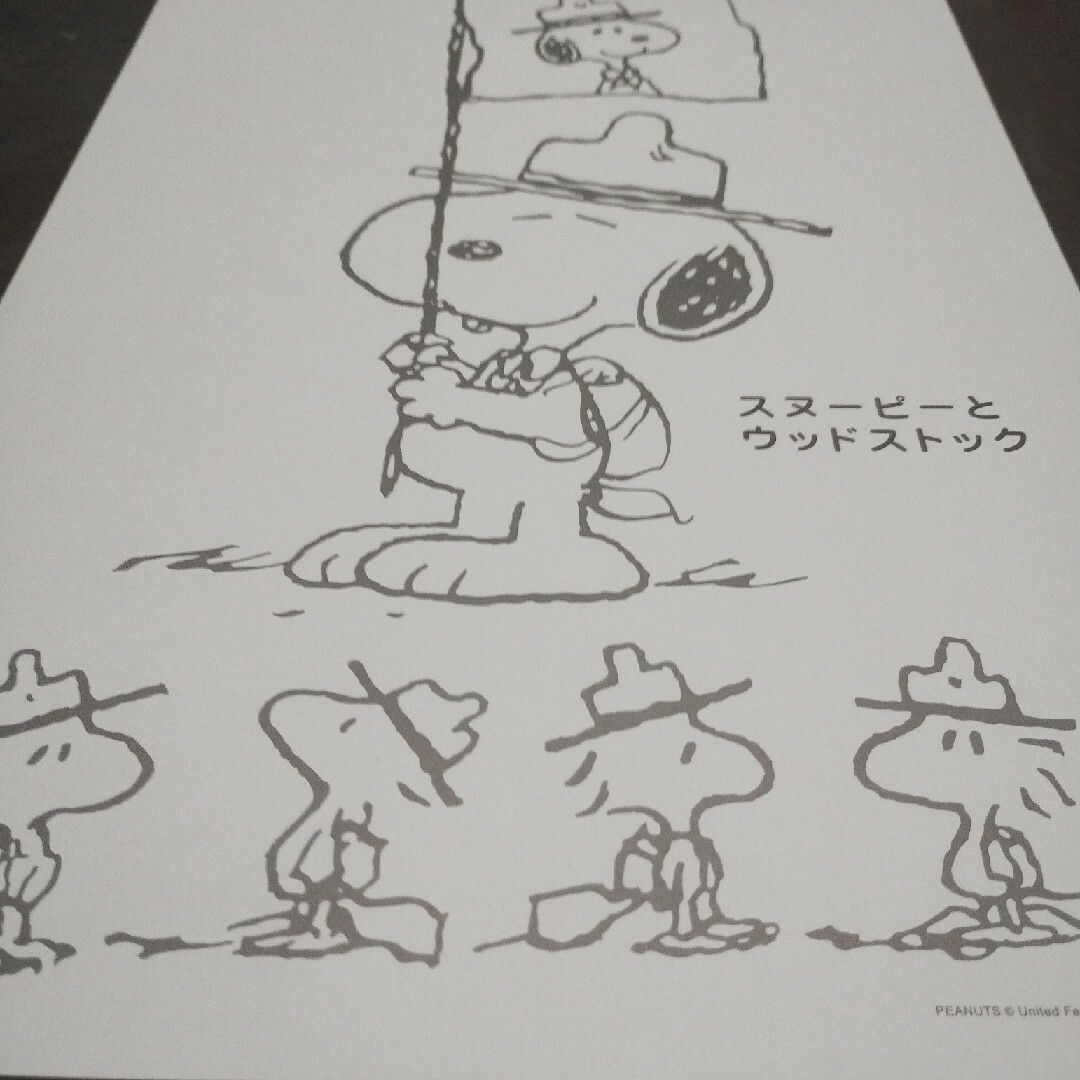 SNOOPY(スヌーピー)の◆SNOOPY/ぬりえ/4柄/10部/ エンタメ/ホビーのおもちゃ/ぬいぐるみ(キャラクターグッズ)の商品写真