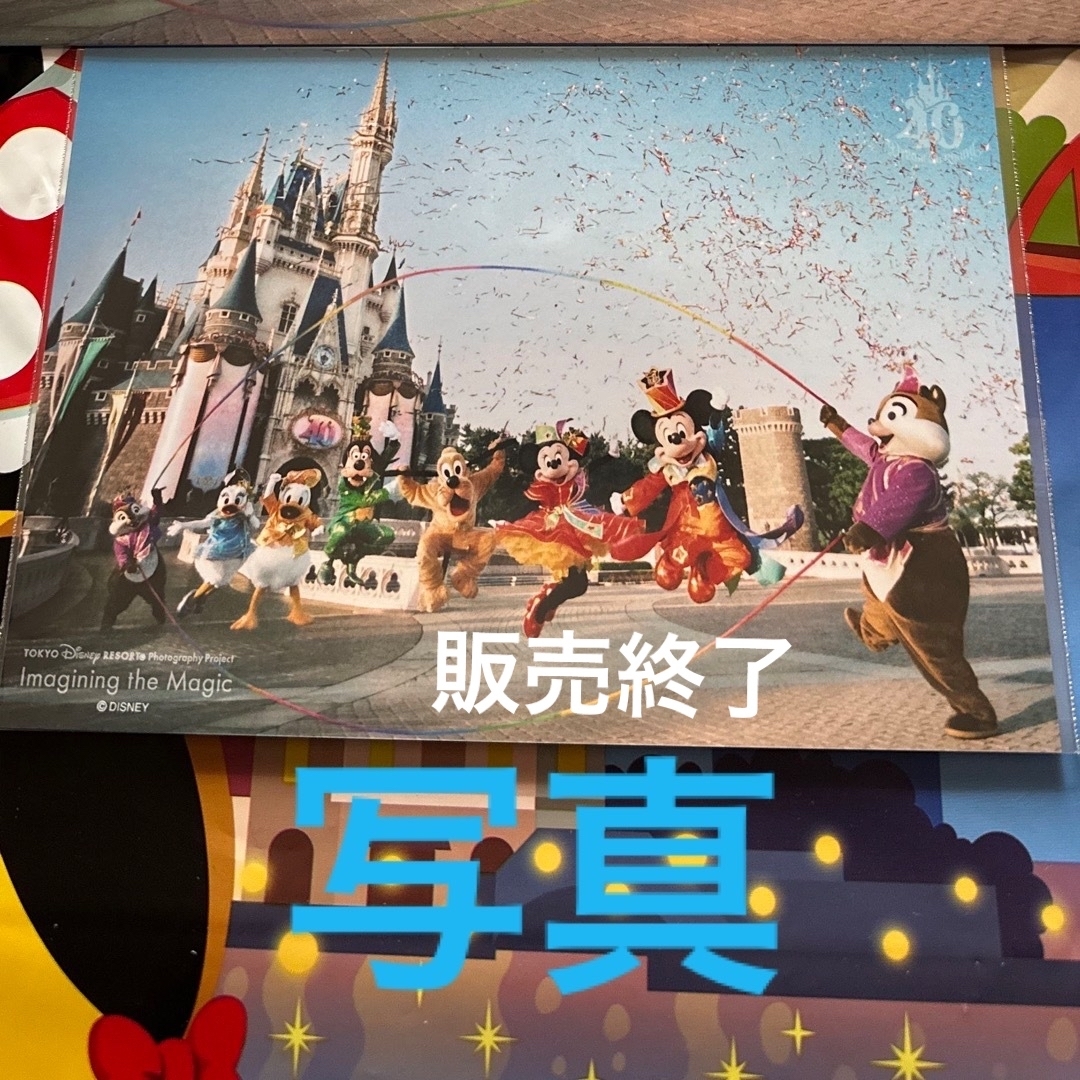 Disney(ディズニー)の★新品★ディズニー　40周年 イマジニング  実写　写真　縄跳び エンタメ/ホビーのおもちゃ/ぬいぐるみ(キャラクターグッズ)の商品写真