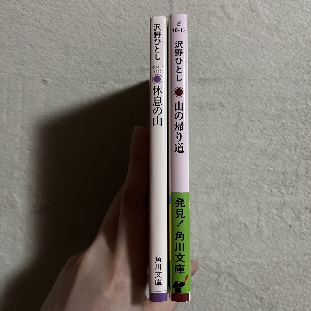 角川書店(カドカワショテン)の沢野ひとし「休息の山」「山の帰り道」 エンタメ/ホビーの本(趣味/スポーツ/実用)の商品写真