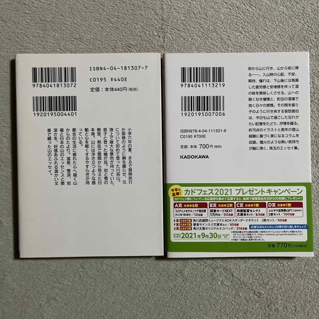 角川書店(カドカワショテン)の沢野ひとし「休息の山」「山の帰り道」 エンタメ/ホビーの本(趣味/スポーツ/実用)の商品写真