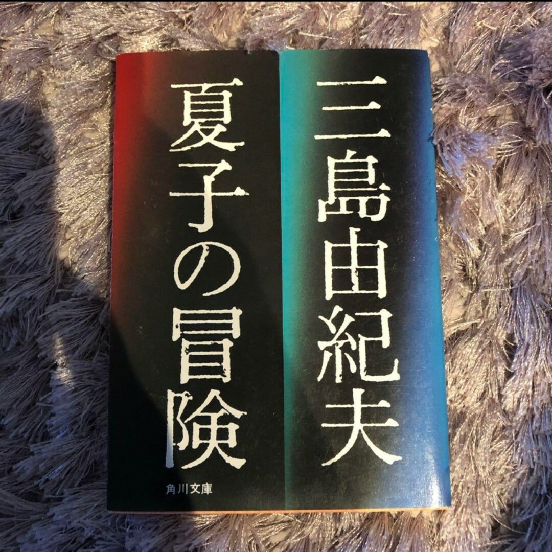 夏子の冒険 エンタメ/ホビーの本(文学/小説)の商品写真