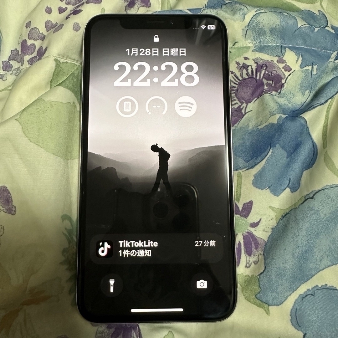iPhone X SIMフリー 256GB バッテリー100% iPhone X SIMフリー 256GB バッテリー100%