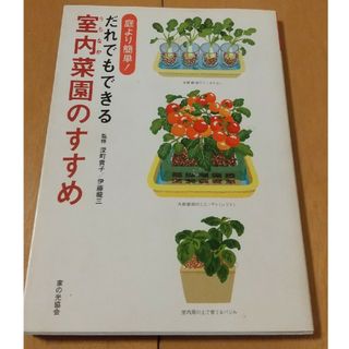 だれでもできる室内菜園のすすめ(趣味/スポーツ/実用)