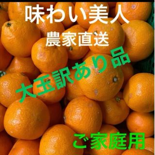 有田みかん農家直送☆味わい美人訳あり大玉ご家庭用箱込み10キロ(フルーツ)