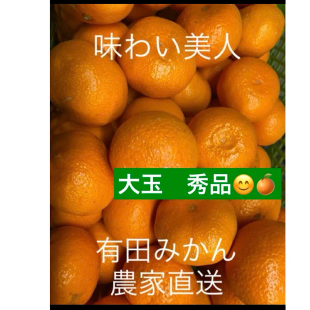 有田みかん農家直送⭐️ブランド味わい美人大玉秀品箱込み5キロ 食品/飲料/酒の食品(フルーツ)の商品写真