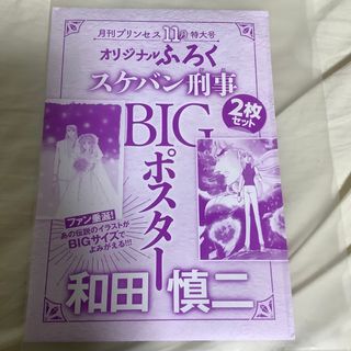 アキタショテン(秋田書店)の2022年　月刊プリンセス、11月号付録　スケバンデカビックポスター(少女漫画)