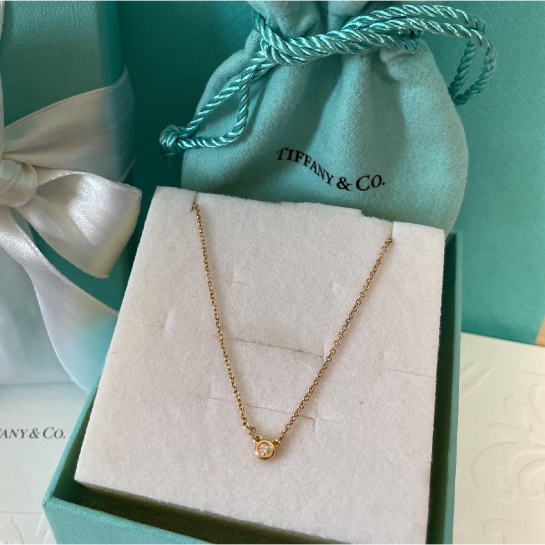 Tiffany & Co. - ☆新品☆TIFFANY&Co. バイザヤード ネックレス Tiffany & Co. - ☆新品☆TIFFANY&Co. バイザヤード ネックレス