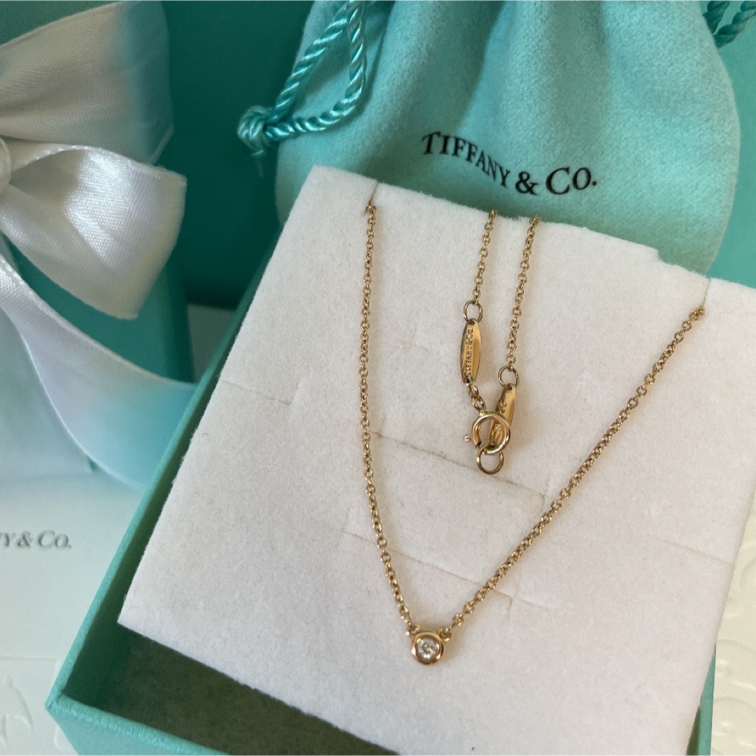 Tiffany & Co. - ☆新品☆TIFFANY&Co. バイザヤード ネックレス Tiffany & Co. - ☆新品☆TIFFANY&Co. バイザヤード ネックレス