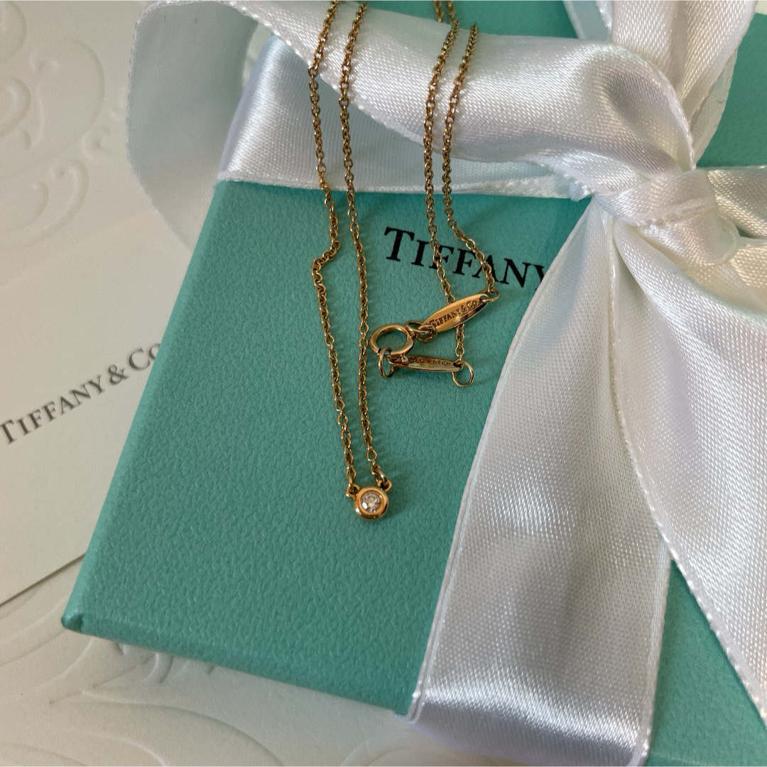 Tiffany & Co. - ☆新品☆TIFFANY&Co. バイザヤード ネックレス Tiffany & Co. - ☆新品☆TIFFANY&Co. バイザヤード ネックレス