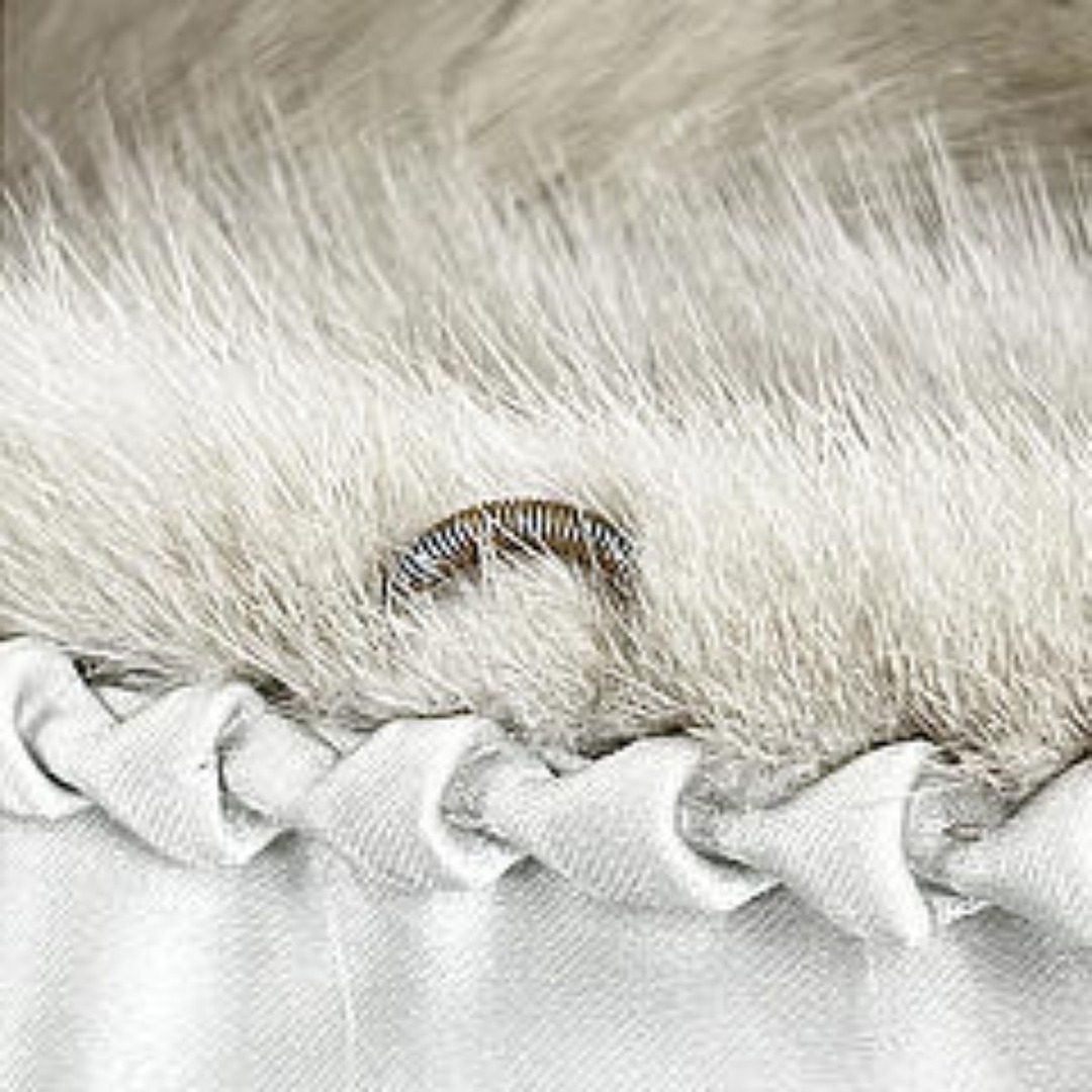 ストール グレー   マフラー サファイアミンク レディースのファッション小物(ストール/パシュミナ)の商品写真