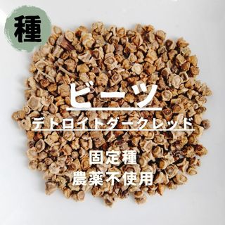 【種】ビーツ　デトロイトダークレッド　無農薬　100粒(野菜)