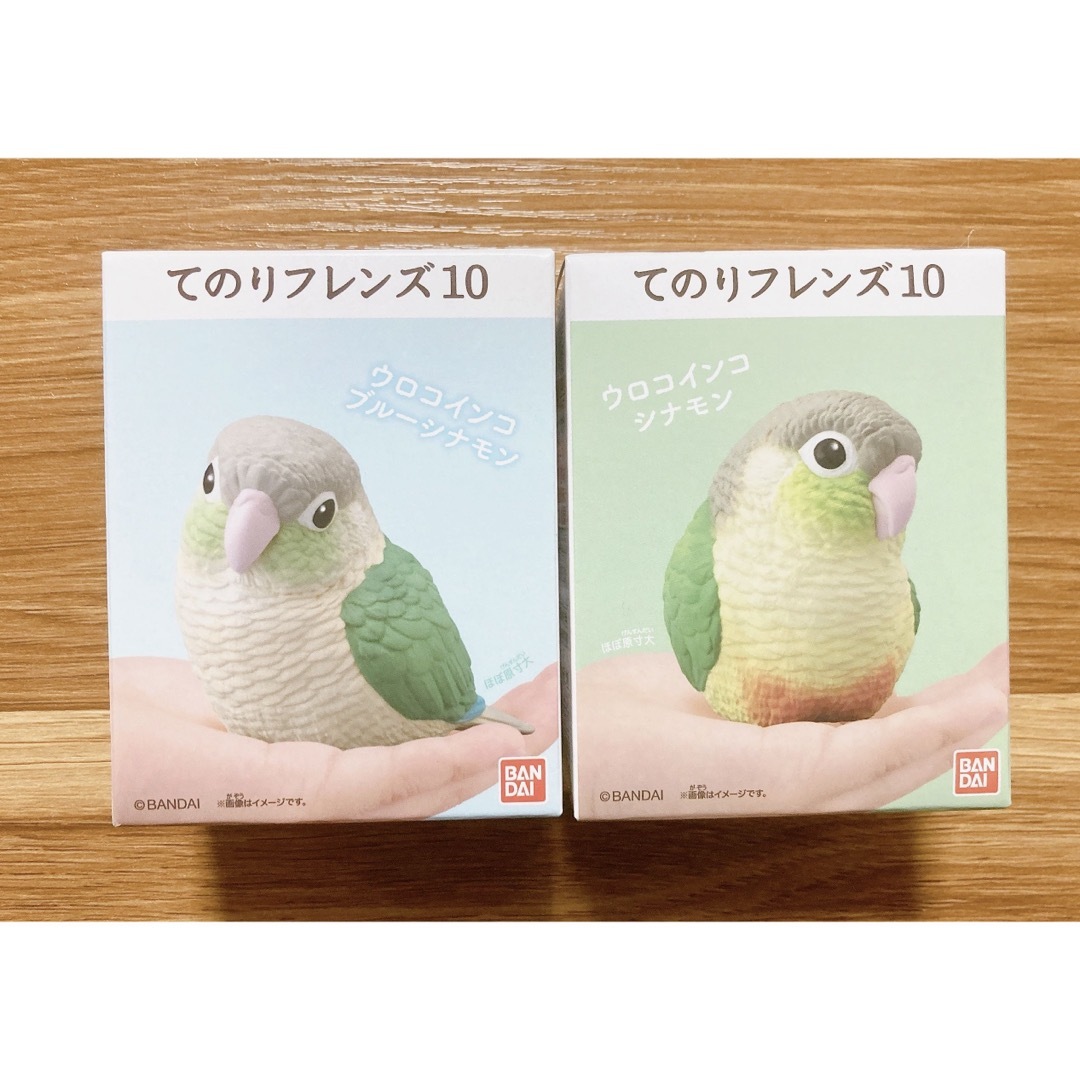 BANDAI(バンダイ)のてのりフレンズ10 ウロコインコ　ブルーシナモン　シナモン　フィギュア エンタメ/ホビーのフィギュア(その他)の商品写真