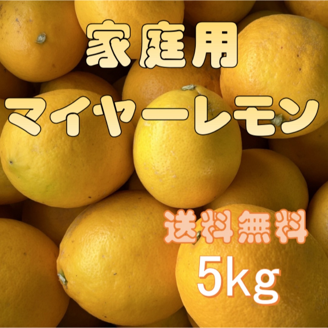 熊本県産 マイヤーレモン 家庭用 5kg 送料無料 食品/飲料/酒の食品(フルーツ)の商品写真