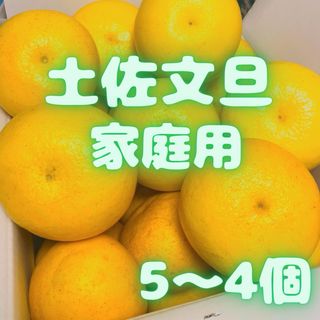 ハウス文旦　家庭用　おすすめ　13(フルーツ)