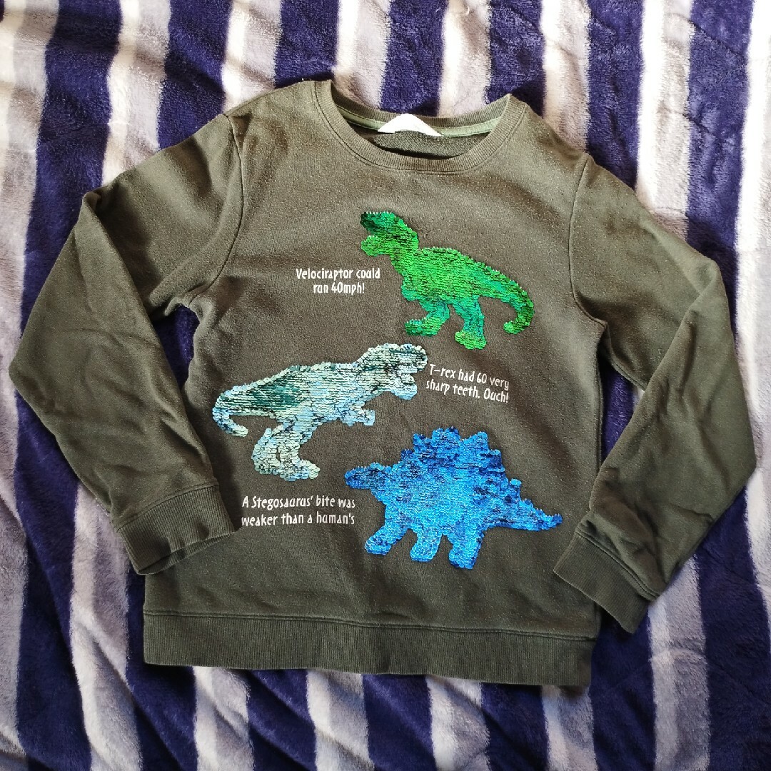 H&M(エイチアンドエム)のH＆M恐竜トレーナー キッズ/ベビー/マタニティのキッズ服男の子用(90cm~)(Tシャツ/カットソー)の商品写真