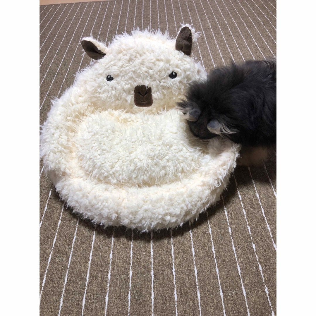 ペットベッド　フワフワ　50cm 犬　猫　クッション　もこもこ その他のペット用品(犬)の商品写真